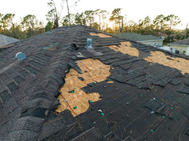 Best Gutter Installation and Repair  in Walker Valley, NY